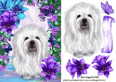 Little White Westie in Purple/turq Flowers