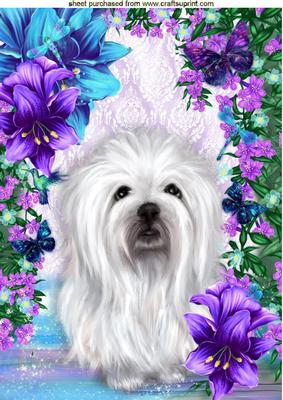 Little White Westie in Purple/turq Flowers A4