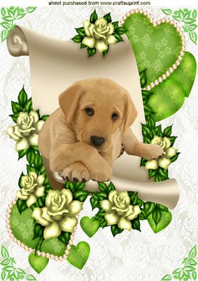 Golden Labrador Puppy on a Scroll of Hearts and Flowers A4