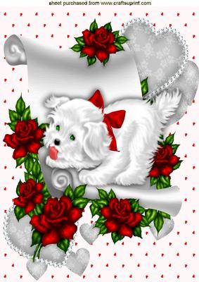 Westie with Red Bow with Hearts and Flowers on a Scroll A4