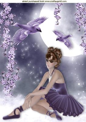 Ballerina in Fantasy Moonlight with Birds in Flight A4