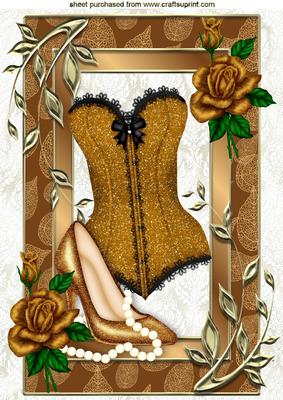 Gorgeous Gold Basque & Shoes with Gold Roses A4
