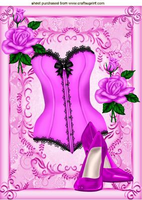 Beautiful Pink Basque with Shoes and Pink Roses A4