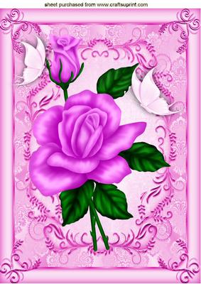 Beautiful Pink Rose with Butterflies A4