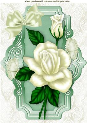 Cream Roses with Butterflies and Bow A4
