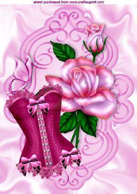 Pink Roses with Pink Basque with Butterfly A4