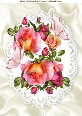 Roses on Lace with Satin and Butterflies A4