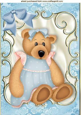 Teddy Bear in Pretty Dress in Ornate Frame A4