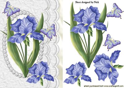 Blue Iris with Butterflies in Pearl Scalloped Frame