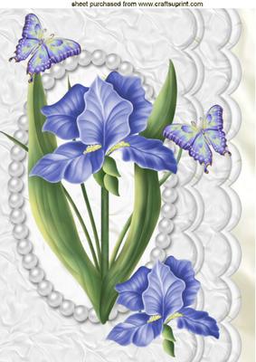Blue Iris with Butterflies in Pearl Scalloped Frame A4