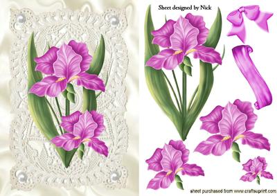 Pink Iris on Vintage Lace with Pearls