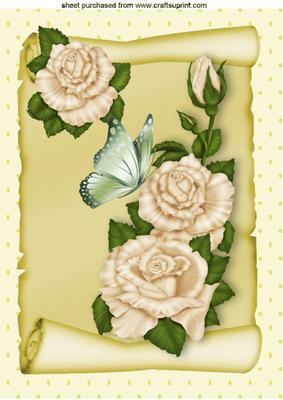 Cream Roses on a Scroll with Butterfly A4