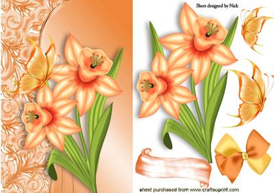 Shades of Spring Orange Daffodils with Butterflies