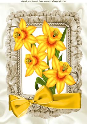 Golden Daffodils in Frill Frame with Big Bow A4
