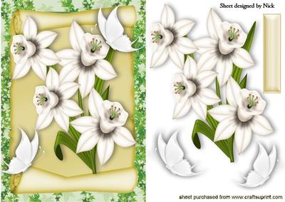 White Daffodils with White Butterflies on a Scroll