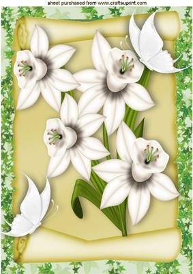 White Daffodils with White Butterflies on a Scroll A4