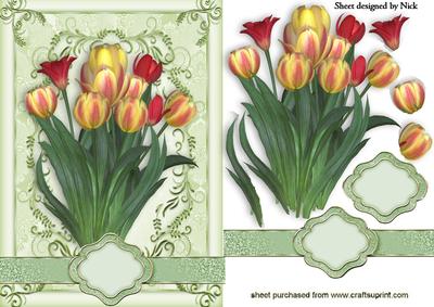 Pretty Yellow/red Tulips in Ornate Frame