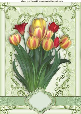 Pretty Yellow/red Tulips in Ornate Frame A4
