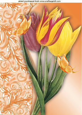 Beautiful Red/yellow Tulips with Butterflies A4