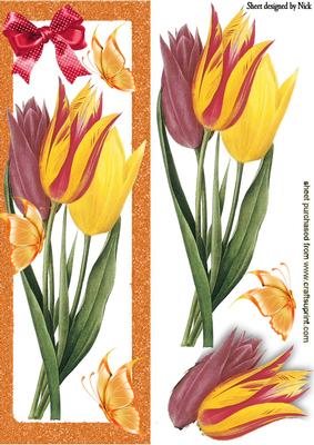 Pretty Red/yellow Daffodils with Butterflies Dl