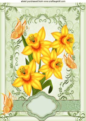 Daffodils with Butterflies in Ornate Frame A4