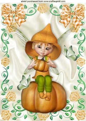 Pumpkin Faerie with Butterflies in Orange Rose Frame A4