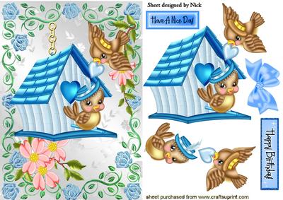 Pretty Little Birds in a Birdhouse in Rose Frame