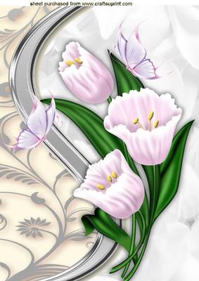 Pink Flowers, Pink Butterflies A4