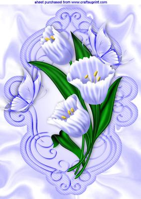 Pretty Blue Butterflies & Flowers in Scroll Frame A4