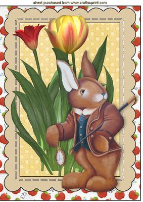 Lovely Rabbit Late for a Date in Strawberry Frame A4