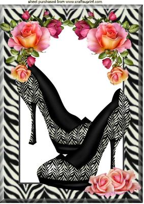 Lovely Zebra Print Shoes with Roses in a Frame A4