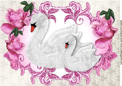 Swans in Pink Sparkly Frame with Roses A4