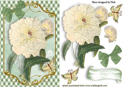 Cream Vintage Flowers and Butterflies with Gingham