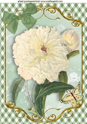 Cream Vintage Flower with Butterflies on Gingham A4