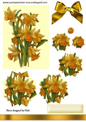 Golden Yellow Daffodils Star Pyramids