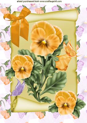 Peach Pansies with Butterflies on a Scroll A4