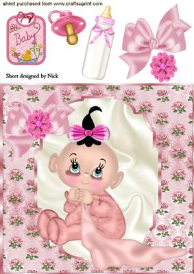 Baby Girl in Rose Frame with Accessories 8x8