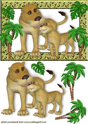 I Only Have Eyes for You!, Tigers in the Jungle