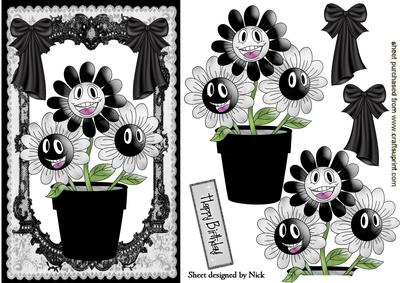 Funny Face Black/white Flowers in Lace Frame with Bows