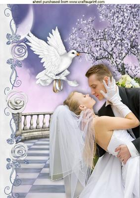 Darling! I Love You, Wedding Couple with Dove A4