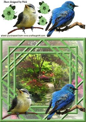 Pretty Birds in Garden Window 8x8