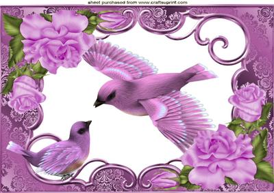 Pretty Pink Bird in Flight with Roses A4