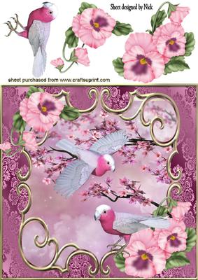 Exotic Birds with Pink Blossoms and Pansies 8x8