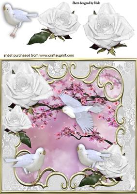 White Exotic Birds with White Roses 8x8