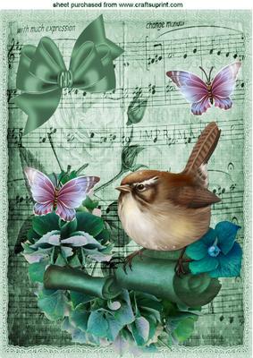 Little Bird on Old Scroll with Music and Flowers A4