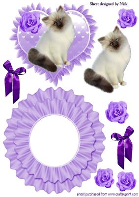 Little White Kitten with Lilac Roses & Bows Rocker Card