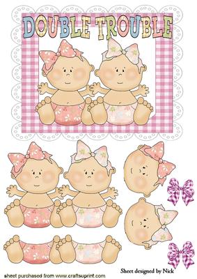 Double Trouble Twin Baby Girls!