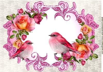 Pink Birds, Pink Roses in Ornate Frame A4