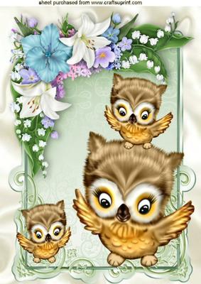 Family of Owls Playing in Floral Frame A4
