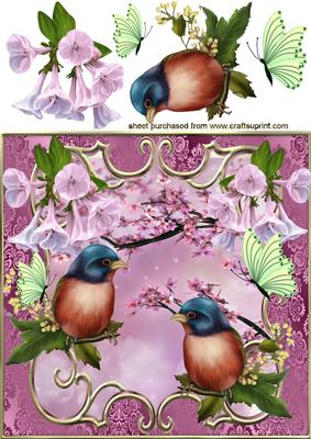 Pretty Birds with Butterflies and Flowers 8x8